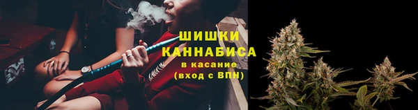 МДПВ Бронницы