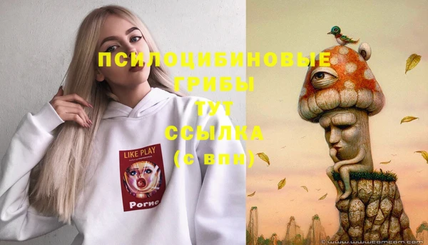 бутик Бородино