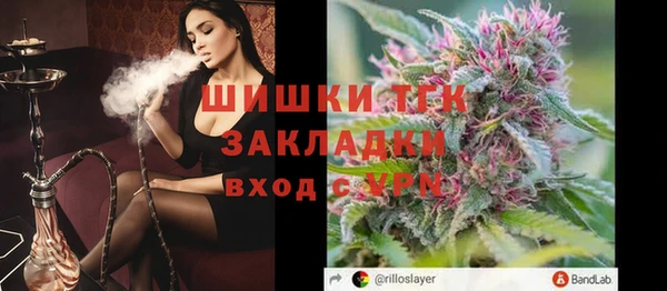 МДПВ Бронницы
