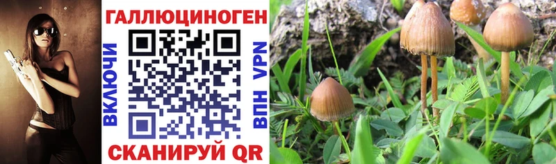 Галлюциногенные грибы Magic Shrooms Купить закладки Называевск